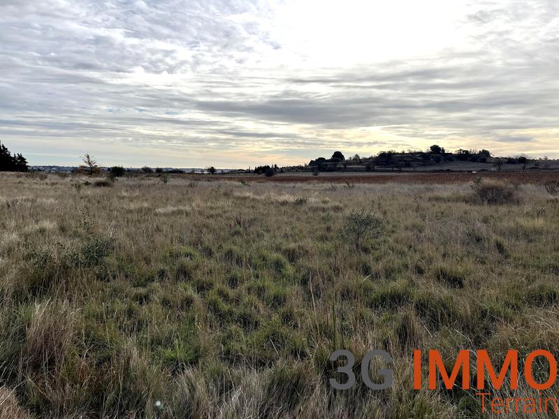 Terrain agricole - 10 081 m²