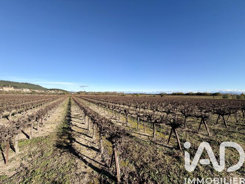 Terrain agricole - 14 667 m²