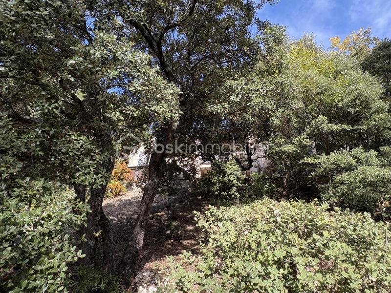 Maison traditionnelle - 170 m² - 5 pièces