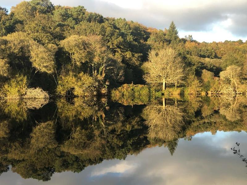 Maison de campagne - 170 m² - 7 pièces
