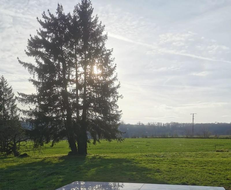 Terrain constructible - 1 450 m²