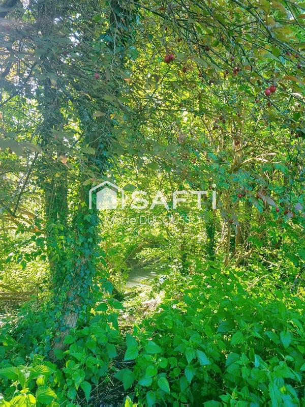 Maison - 237 m² - 8 pièces