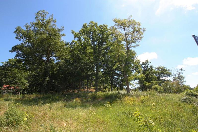 Terrain constructible - 1 146 m²