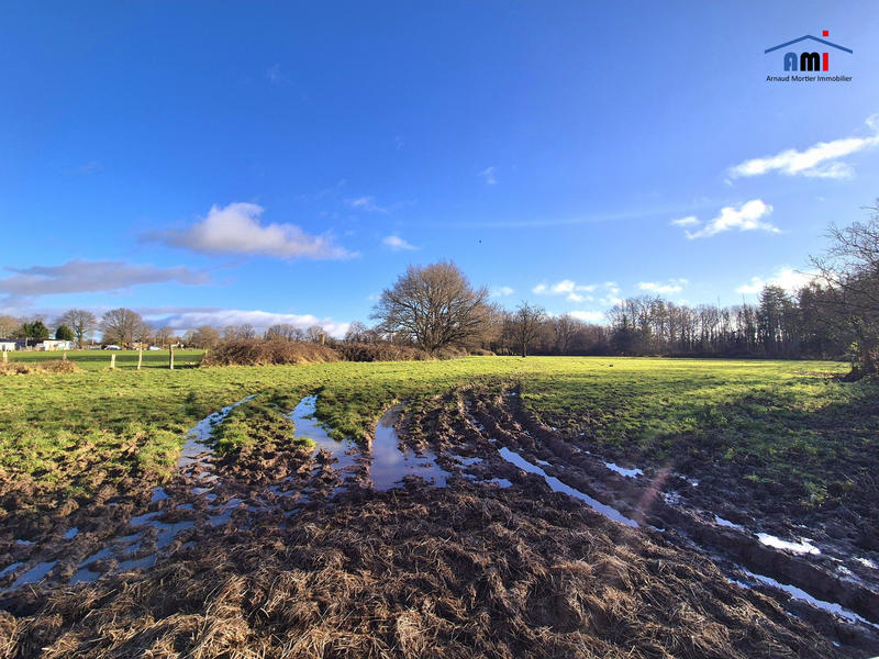 Maison - 40 m² - 1 pièce