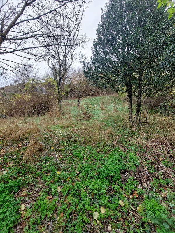 Maison - 1 083 m² - 44 pièces