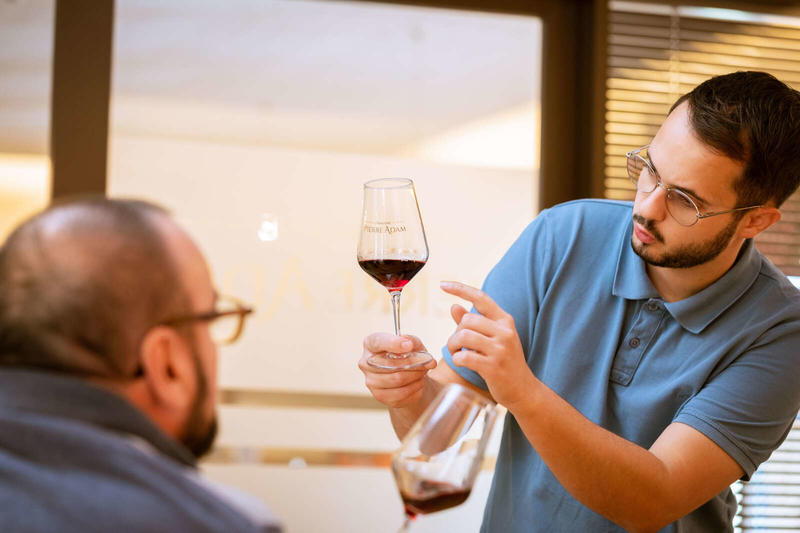 Parenthèse Vigneronne : Initiation à la dégustation