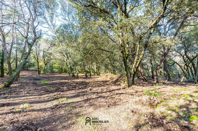 Terrain constructible - 3 367 m²