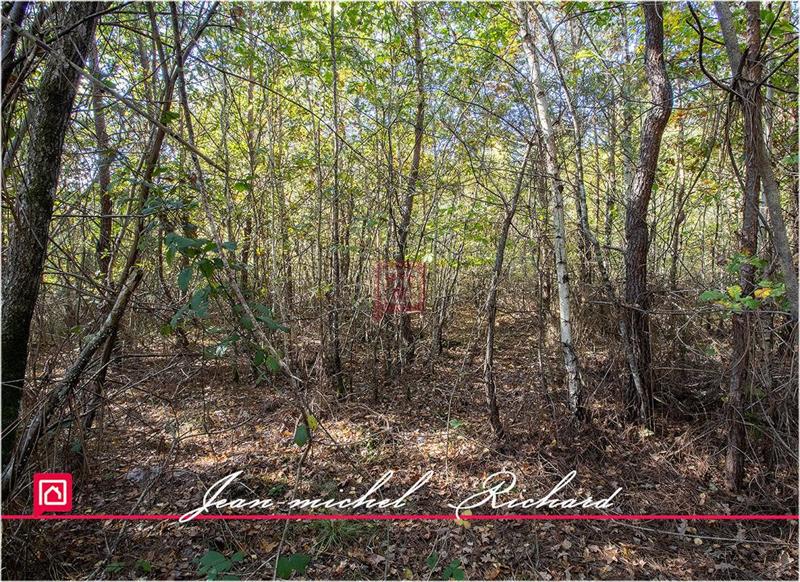 Propriété - 400 m² - 8 pièces