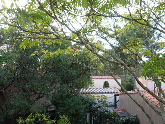 Maison - 40 m² - 3 pièces