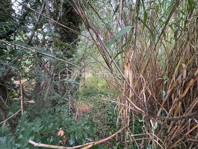 Terrain agricole - 3 299 m²