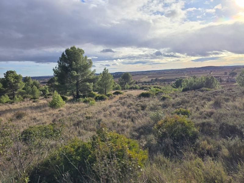 Terrain agricole - 8 540 m²