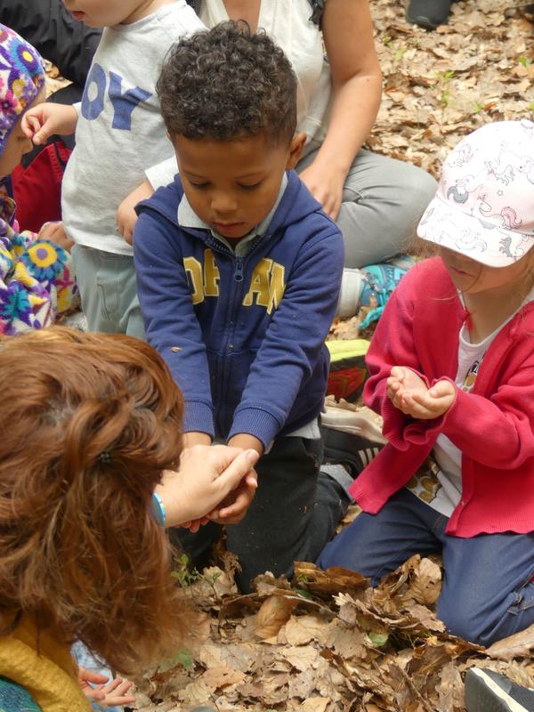 Forêt des tout petits