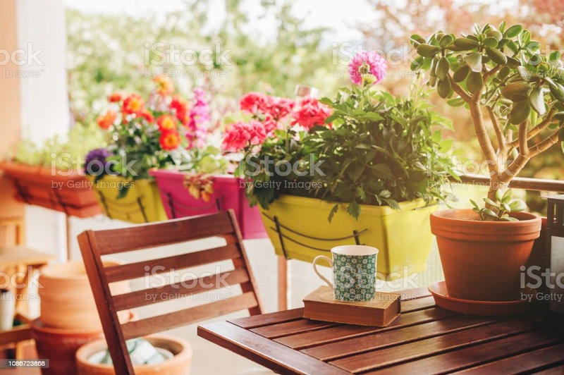 Appartement - 32 m² - 1 pièce