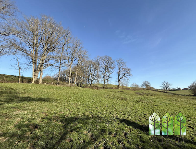 Maison - 220 m² - 7 pièces