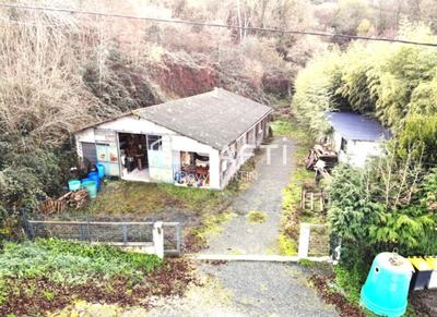 Loft - 140 m² - 1 pièce