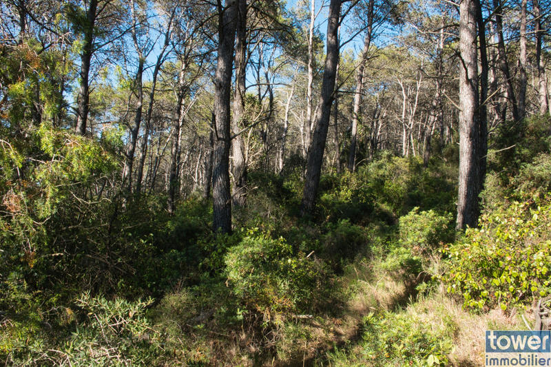 Terrain de loisirs - 42 302 m²