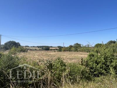 Terrain - 1 367 m²