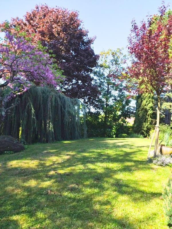 Maison - 213 m² - 7 pièces