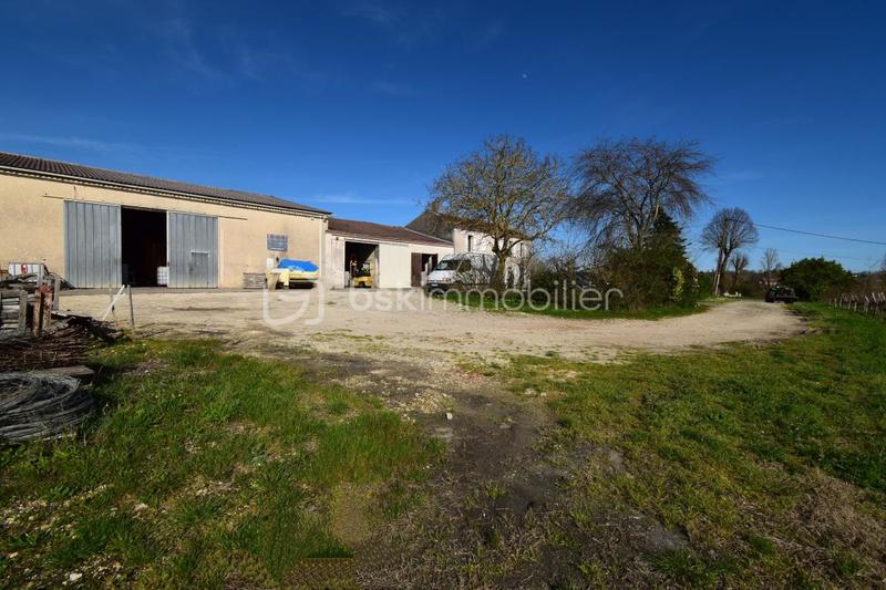 Terrain - 11 738 m²