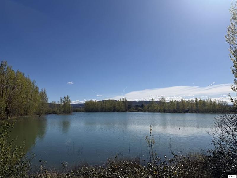 Terrain - 79 336 m²