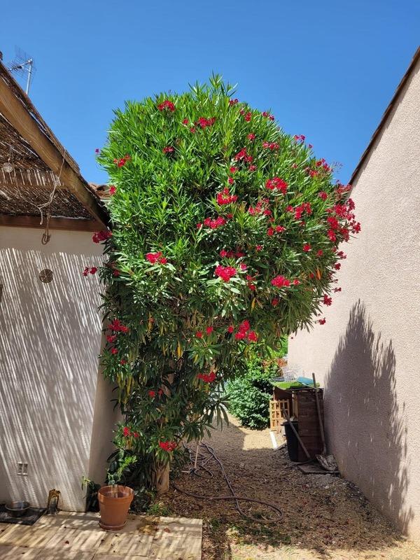 Maison - 119 m² - 4 pièces