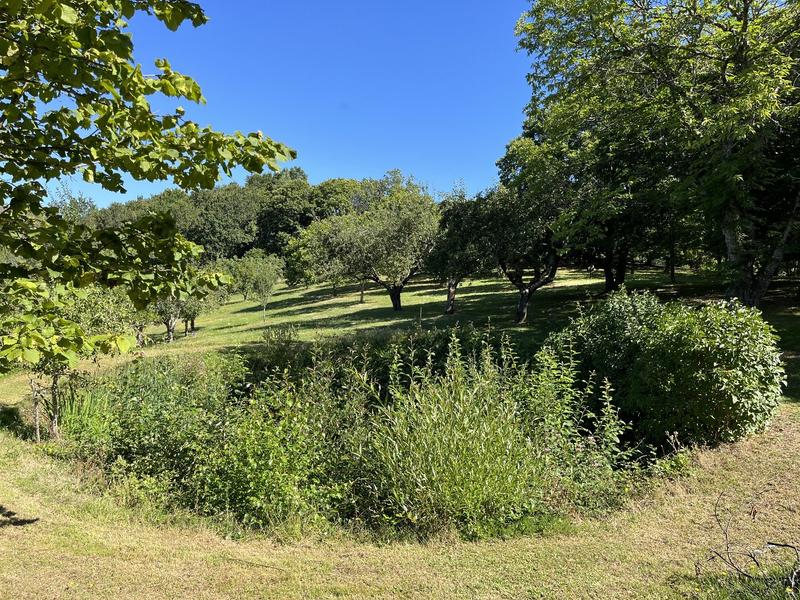 Maison de campagne - 110 m² - 4 pièces