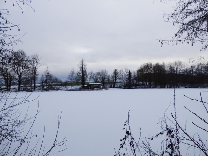 Terrain - 13 730 m²