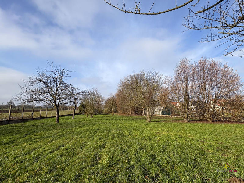 Maison - 231 m² - 6 pièces