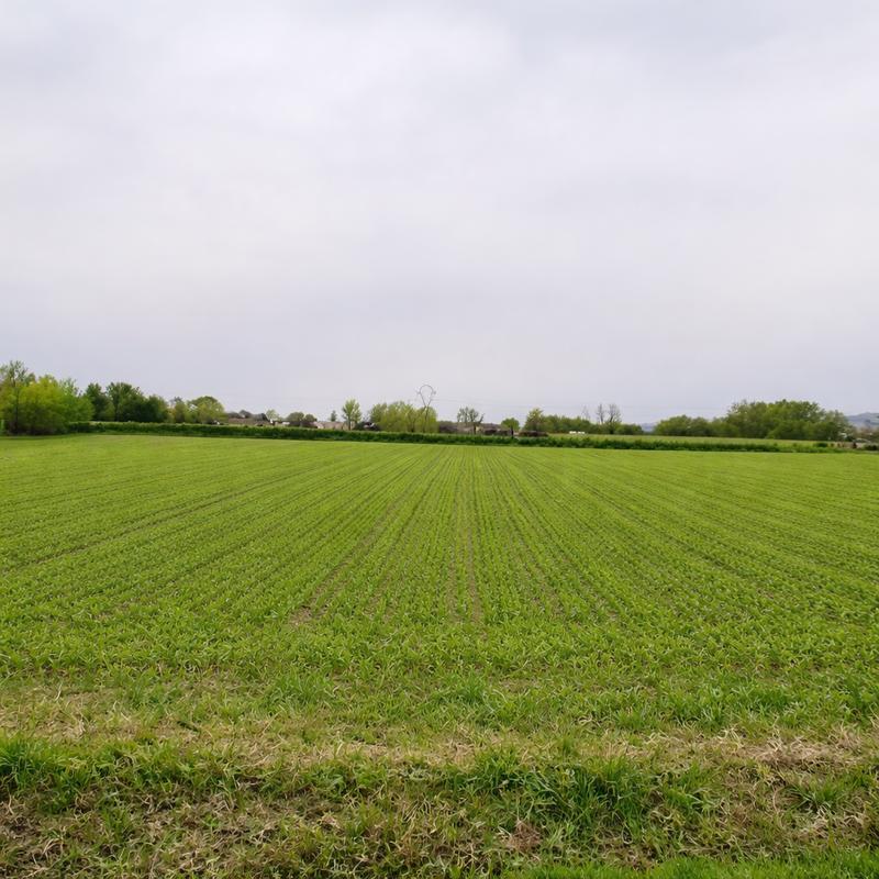 Terrain constructible - 792 m²