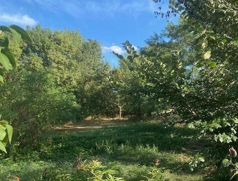 Ferme - 300 m² - 5 pièces