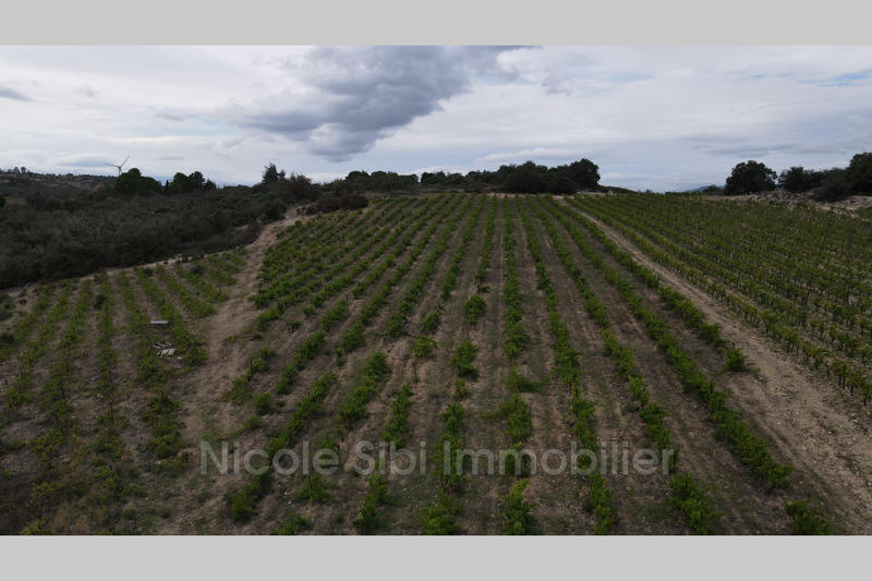 Terrain agricole - 21 183 m²