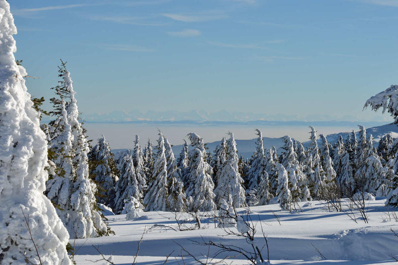 Contes et chants au coin de l'hiver