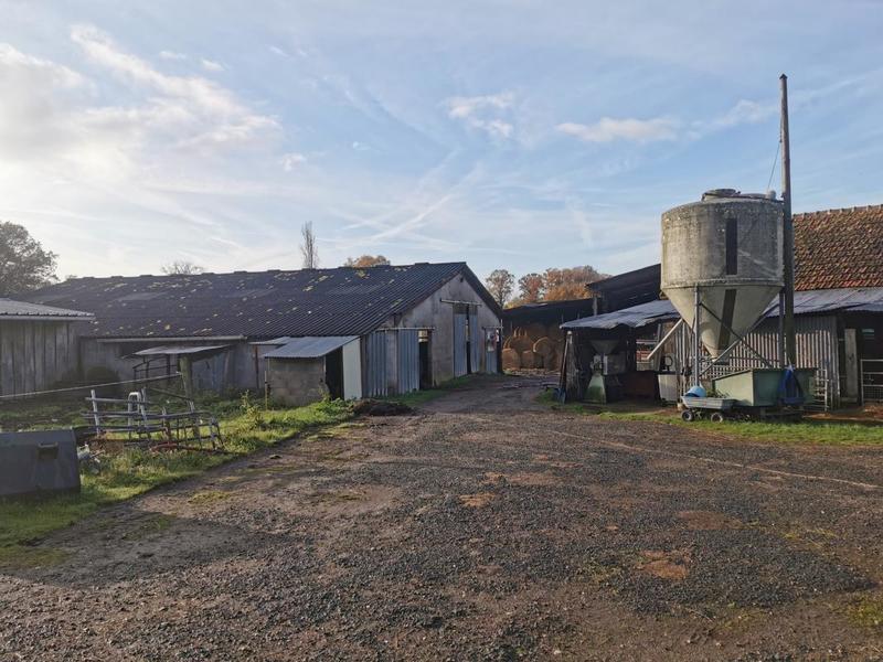 Maison de domaine équestre - 168 m² - 5 pièces