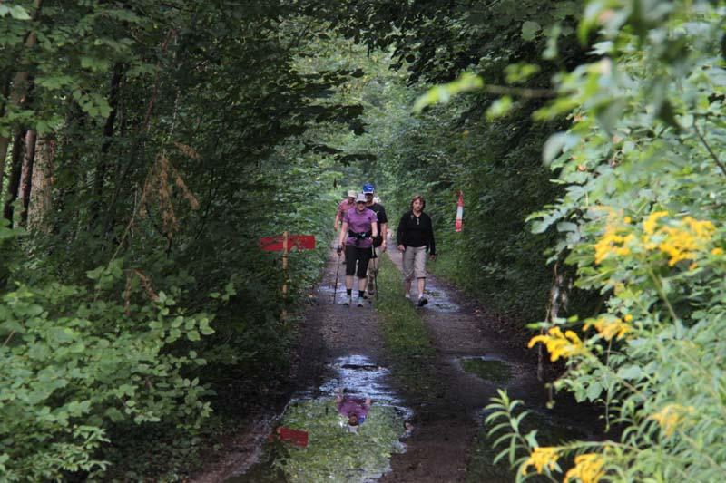 Marche populaire internationale d'hiver
