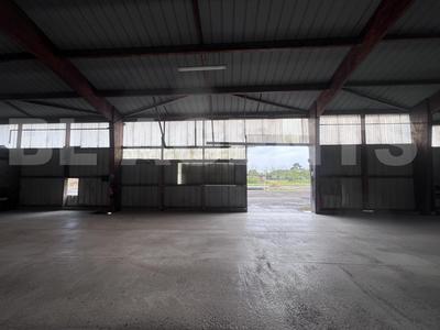 Local d'activités - 670 m² - 3 pièces