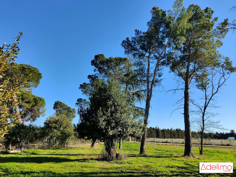 Mas - 1 582 m² - 15 pièces