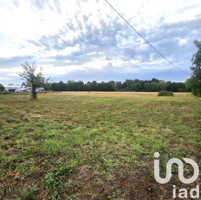 Terrain - 23 776 m²