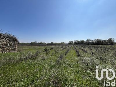 Terrain agricole - 11 765 m²