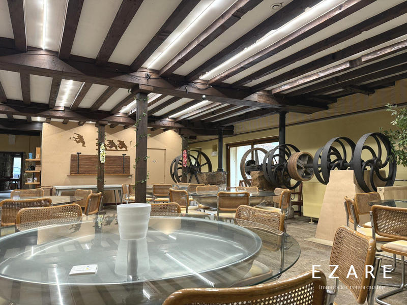 Maison ancienne - 828 m² - 12 pièces