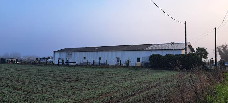 Bureau - 450 m² - 6 pièces