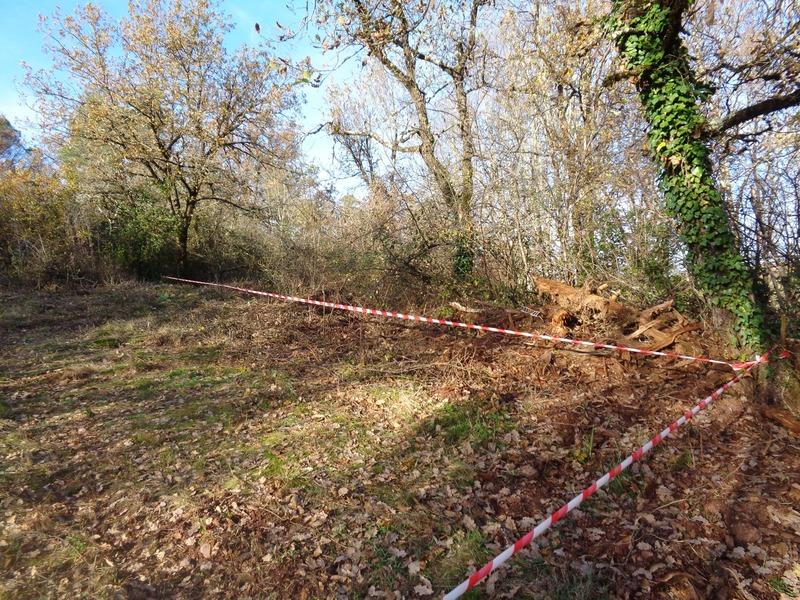 Terrain de loisirs - 1 350 m²