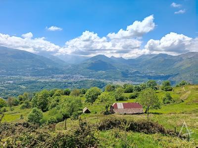 Grange - 62 m² - 1 pièce