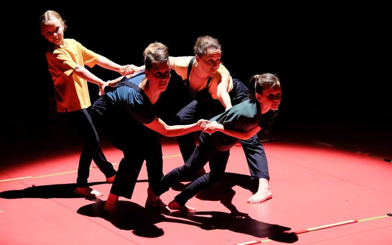 Le labyrinthe de l'oie