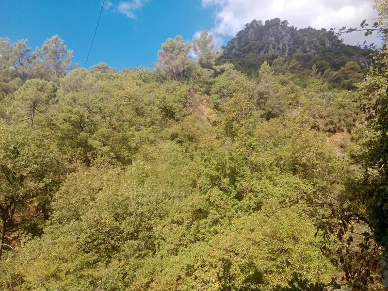 Maison - 40 m² - 3 pièces