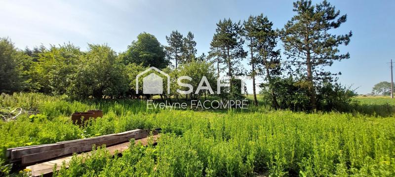 Terrain agricole - 6 393 m²