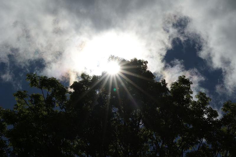 Terrain constructible - 865 m²