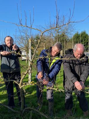 Taille de fruitiers et arbustes à fleurs au Château de Colombières