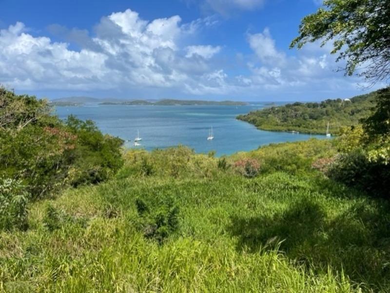 Terrain constructible - 1 300 m²