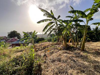 Terrain constructible - 1 111 m²