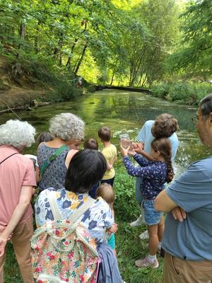 Balade Onf "Grenouille et Cie"
